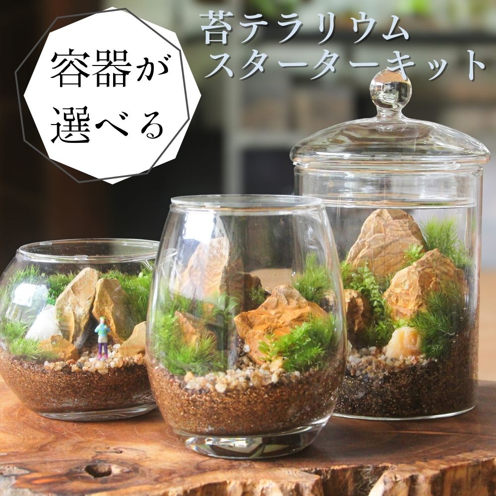 商品 – 苔むすび