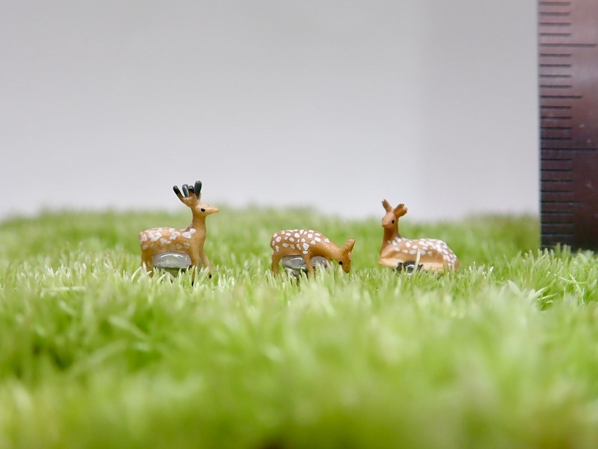 61674557426244da52ec8fb05bf283