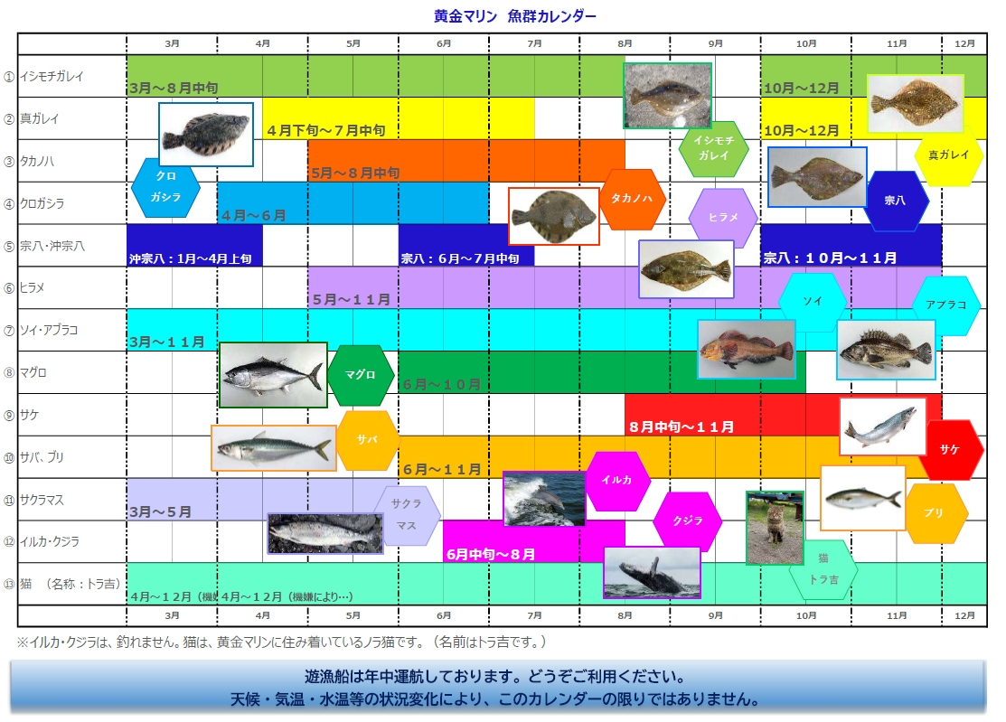 魚群カレンダー（要ダウンロード！） | 黄金マリン KOGANEMARIN