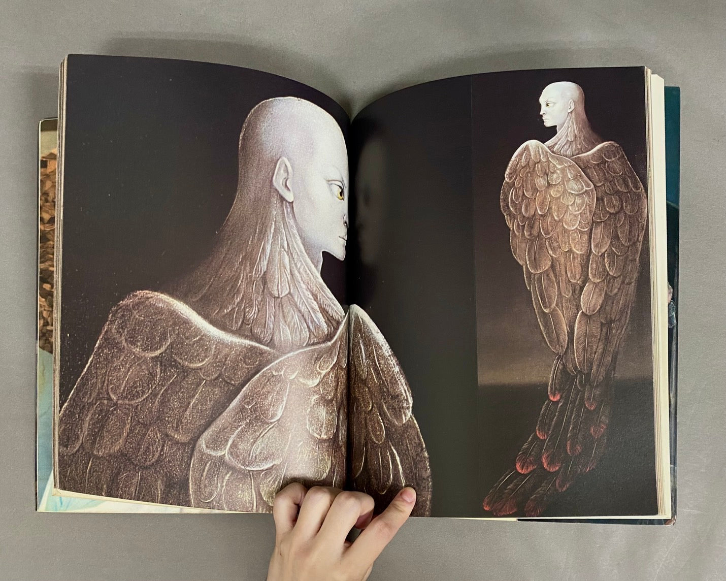 Leonor Fini レオノール・フィニ – 古書ドリス