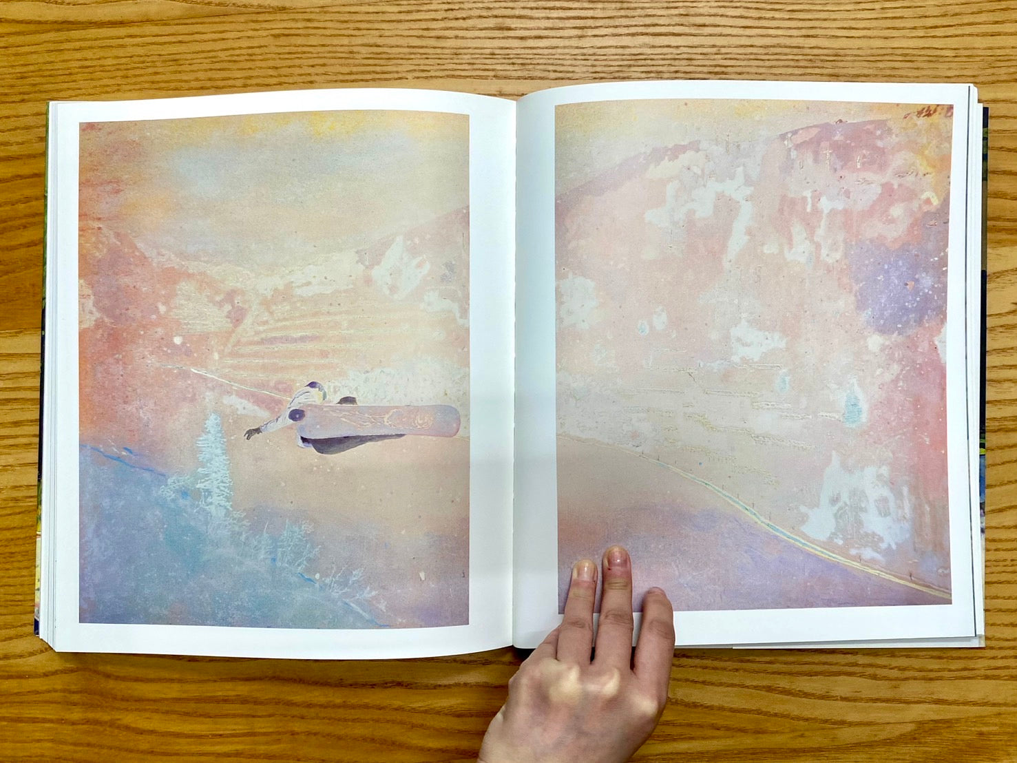 PETER DOIG ピーター・ドイグ画集 洋書 – 古書ドリス