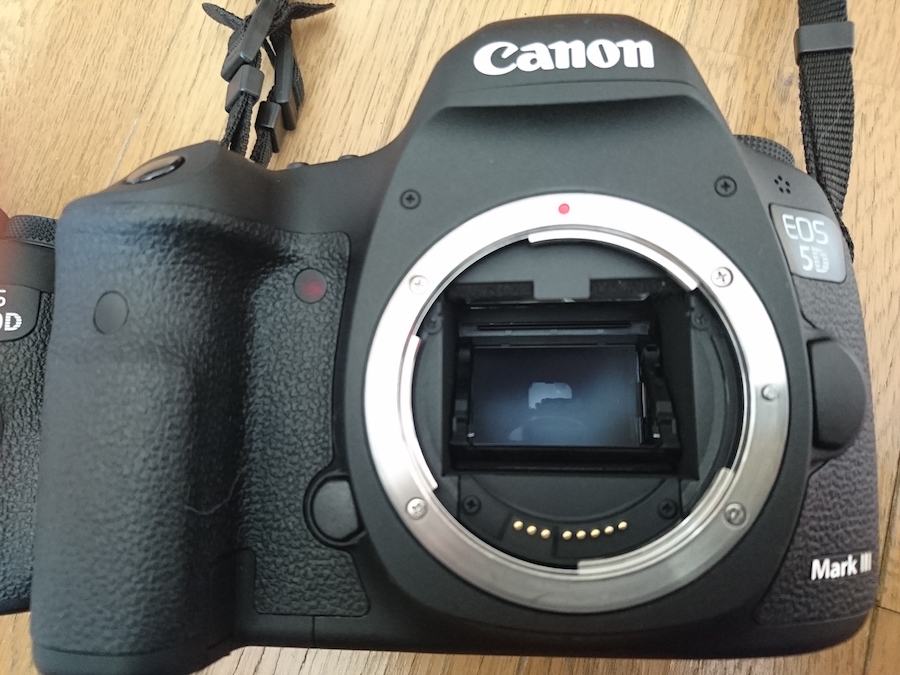 レビュー】念願のフルサイズ一眼！Canon「EOS 5D mark3」を手に入れた