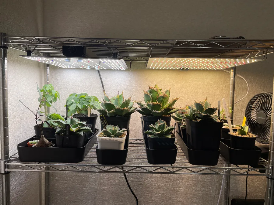 BRIM PANEL Xを徹底レビュー!取り付け例や気になる照度も解説