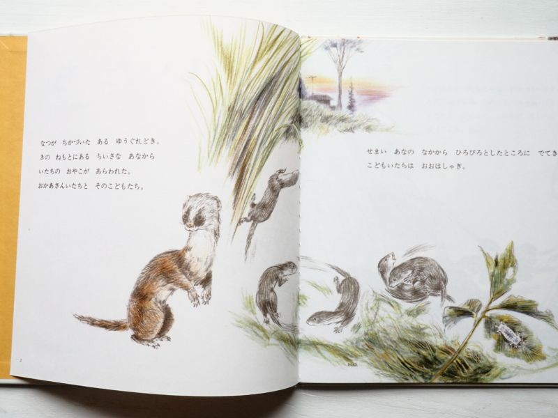 中古絵本専門のオンライン古本屋 コトノハブックス