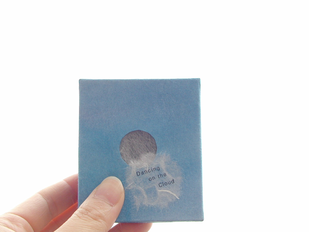 雲捕獲記録 Dancing on the Cloud」（赤井都の豆本）