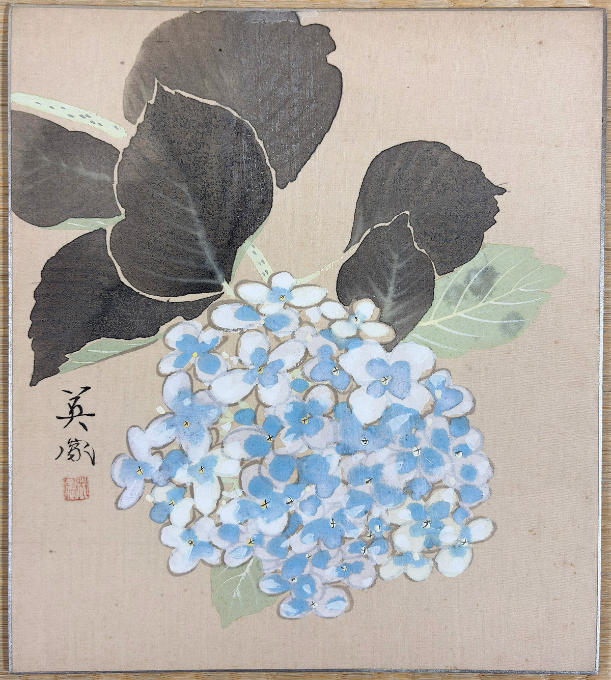 紫陽花｜色紙｜新・古美術 高美堂（こうびどう）｜掛軸販売・通販