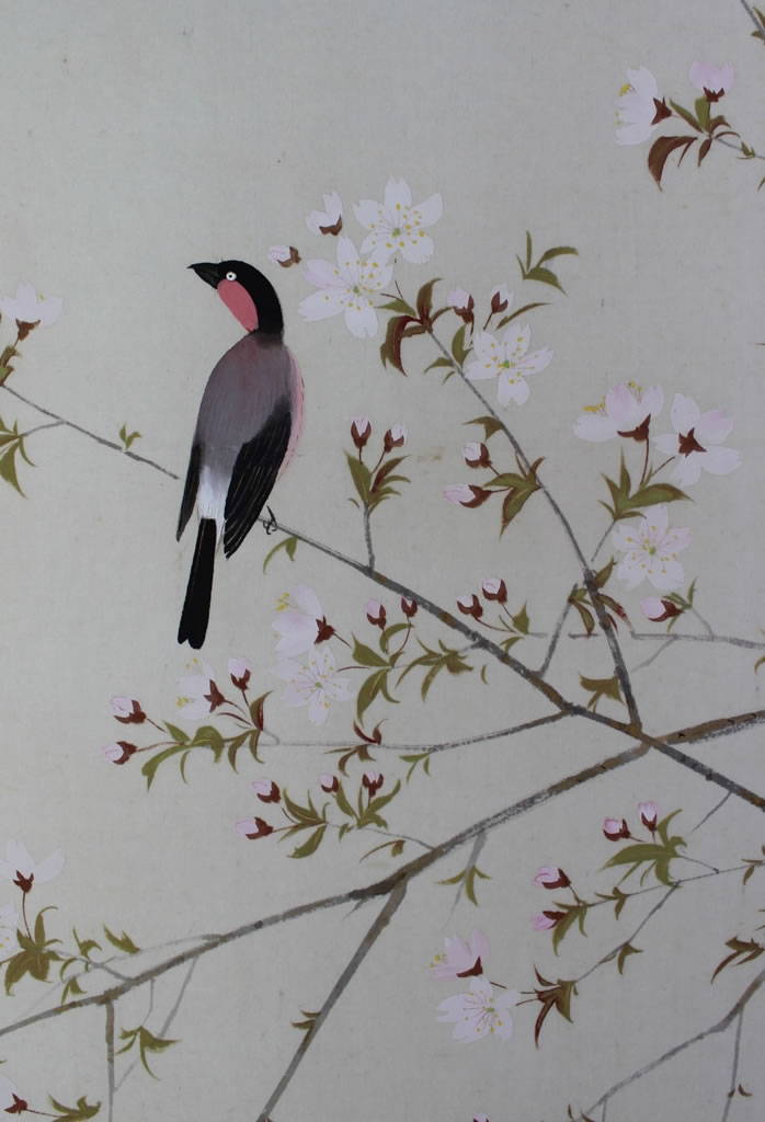 桜花小禽｜新・古美術 高美堂（こうびどう）｜掛軸販売・通販・買取