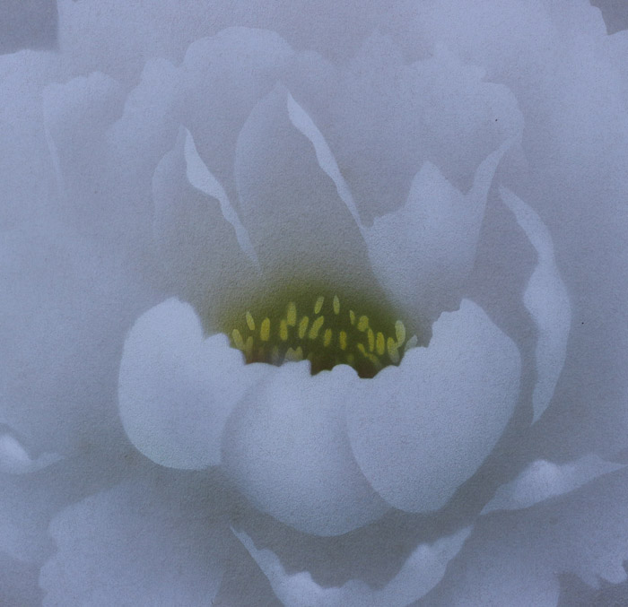 富貴花｜新・古美術 高美堂（こうびどう）｜掛軸販売・通販・買取