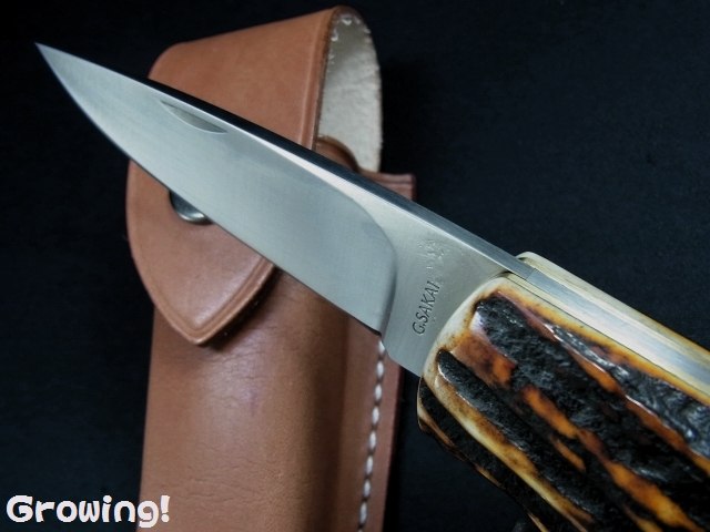 ナイフショップ グローイング！□G・SAKAI【ガーバー サカイ