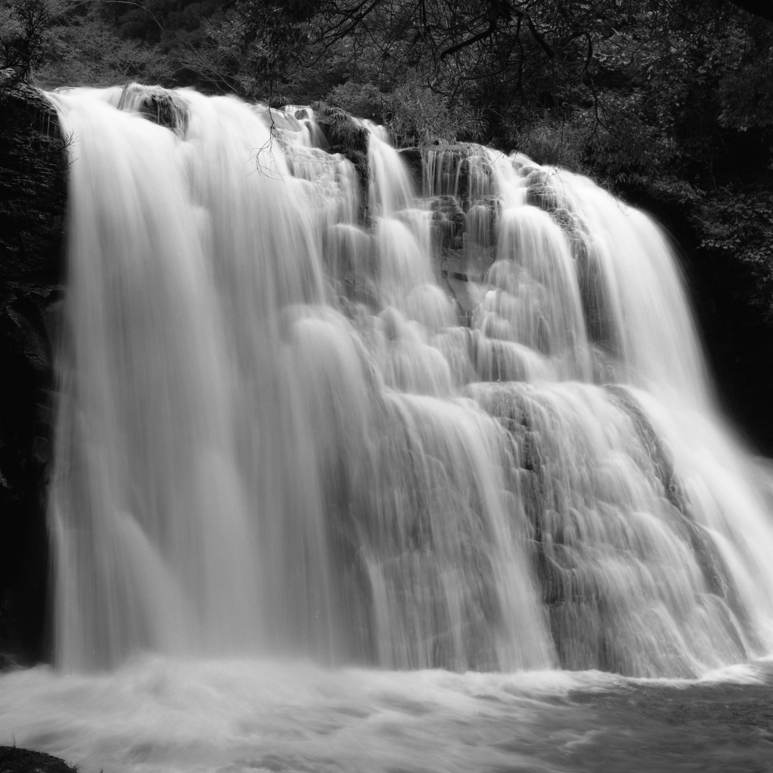 モノクロプリント②】 自家プリントにおいての様々なプリント方法