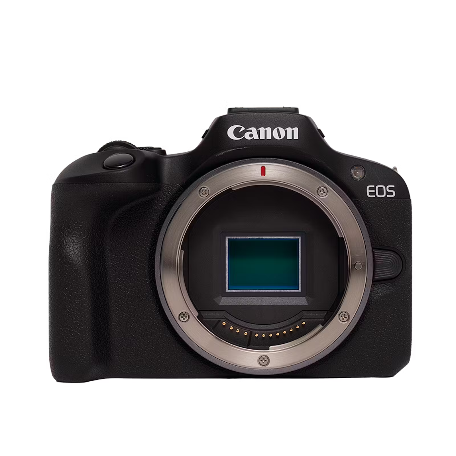 安いミラーレスカメラおすすめ11選！初心者向けの失敗しない選び方も