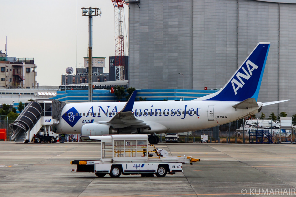 金色のANAカラー！元ゴールドジェットのB737-700 | シテイリョウコウ