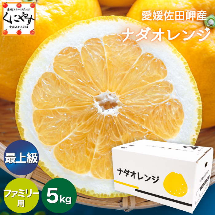 ギフトにも家庭用にも！愛媛県佐田岬産の最上級ナダオレンジ【10kg】
