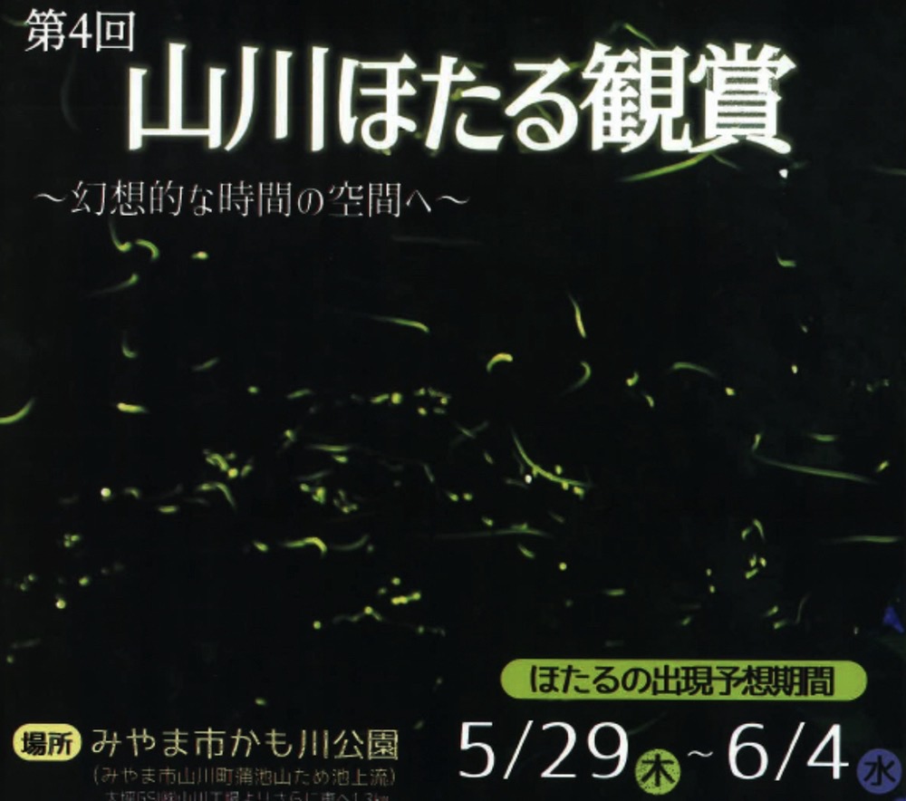 山川ほたる鑑賞2025」みやま市かも川公園 大自然に乱舞するホタル