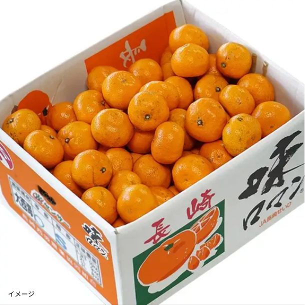 長崎県産「高糖度みかん 味ロマン 糖度12度以上」10kgのお得通販