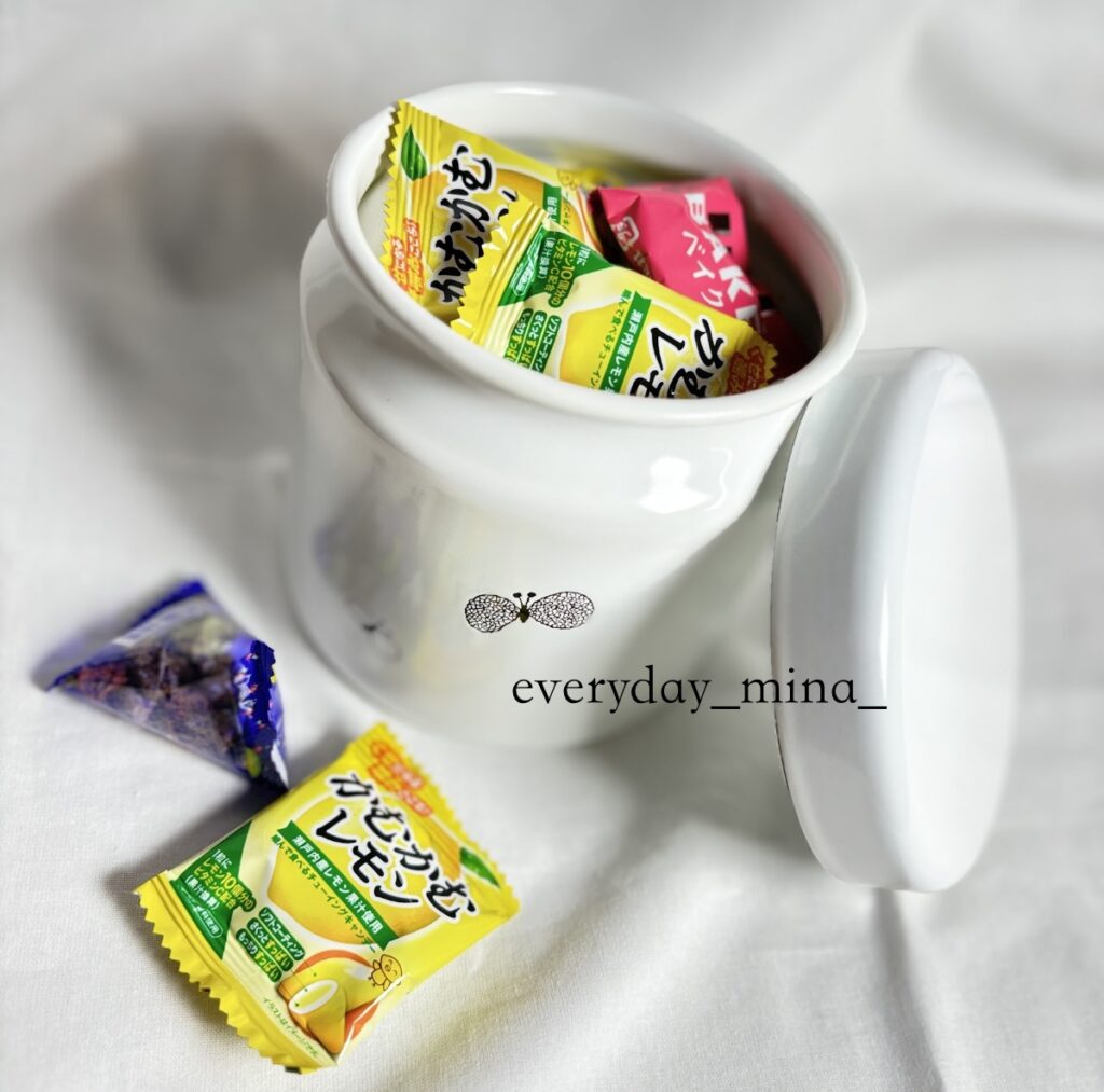 mina perhonen（ミナペルホネン）choucho TUTU 2個セット mina