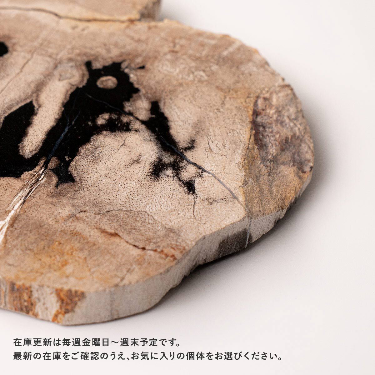 個体が選べます amabro 珪化木 ウッドコースター ナチュラル – くらす