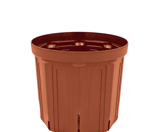 csm-240_brown.png?crop=center&