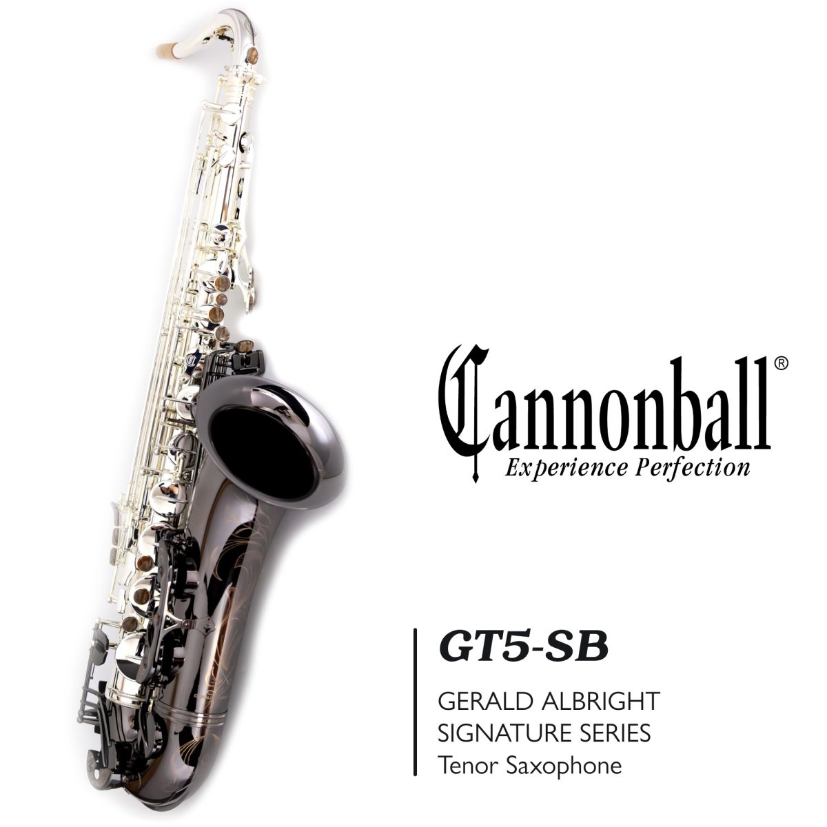 GT5-SB “Gerald Albright Signature Model” 【新品】 | 【クロサワ楽器