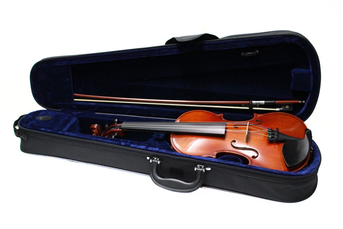 Reghin 4/4サイズ | 【クロサワ楽器店オンラインショップ】いい楽器と