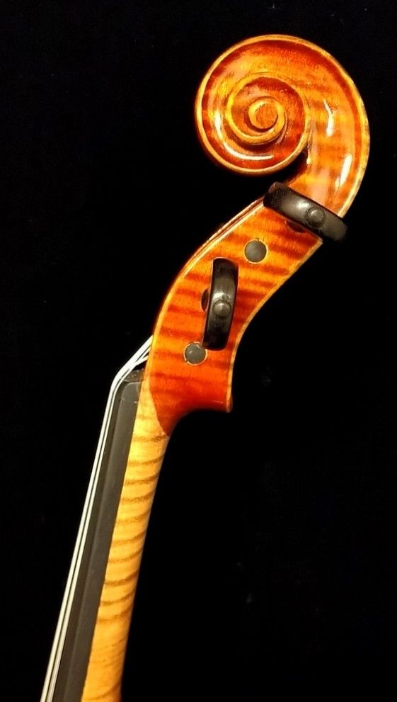 GamaⅡ 1/2サイズ (グリガ ガマ2) | 【クロサワ楽器店オンライン