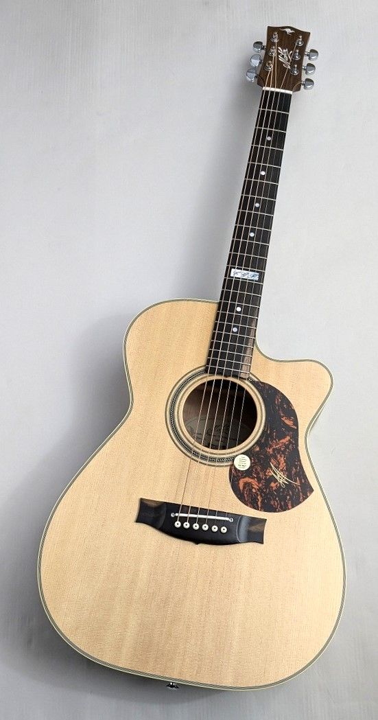 EBG808CTE | 【クロサワ楽器店オンラインショップ】いい楽器とのいい