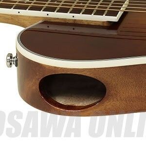 APE-100 TS | 【クロサワ楽器店オンラインショップ】いい楽器とのいい
