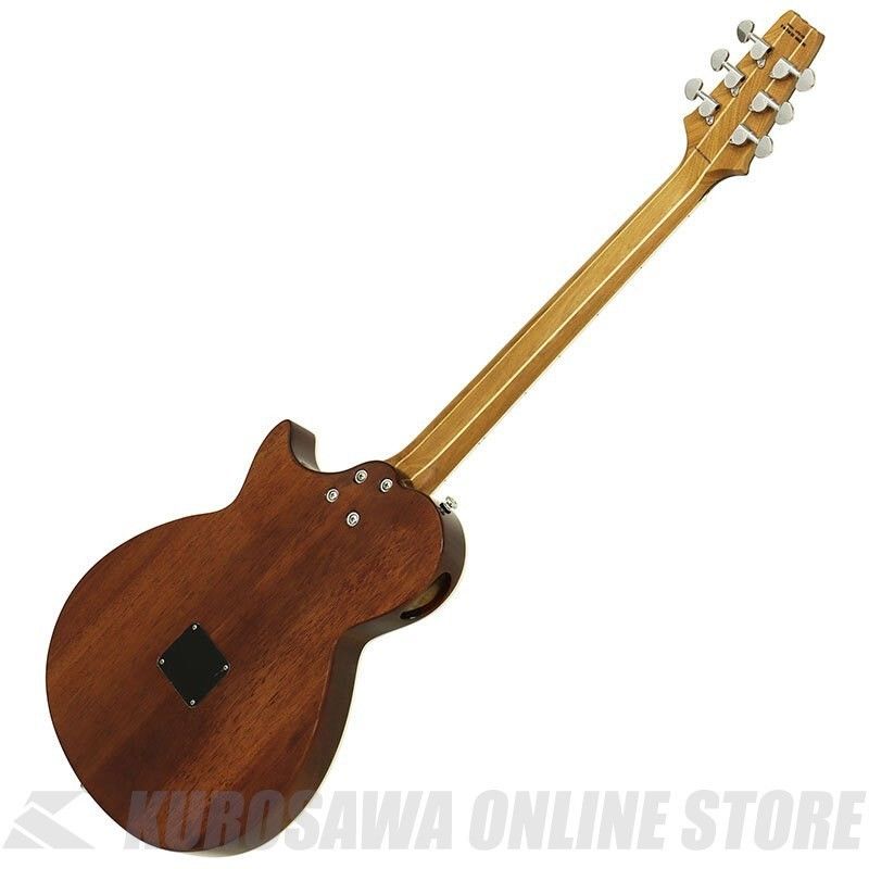 APE-100 TS | 【クロサワ楽器店オンラインショップ】いい楽器とのいい