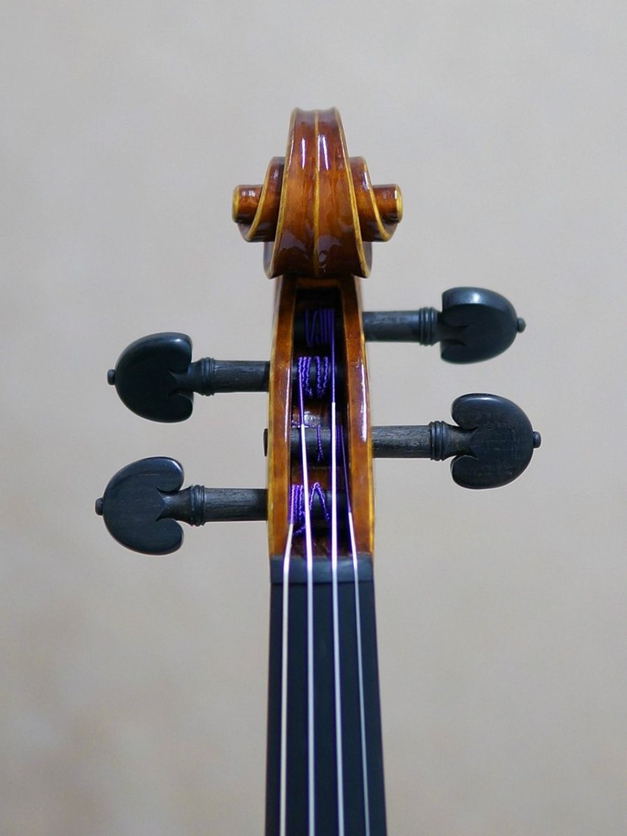 Gliga Gama II | 【クロサワ楽器店オンラインショップ】いい楽器との