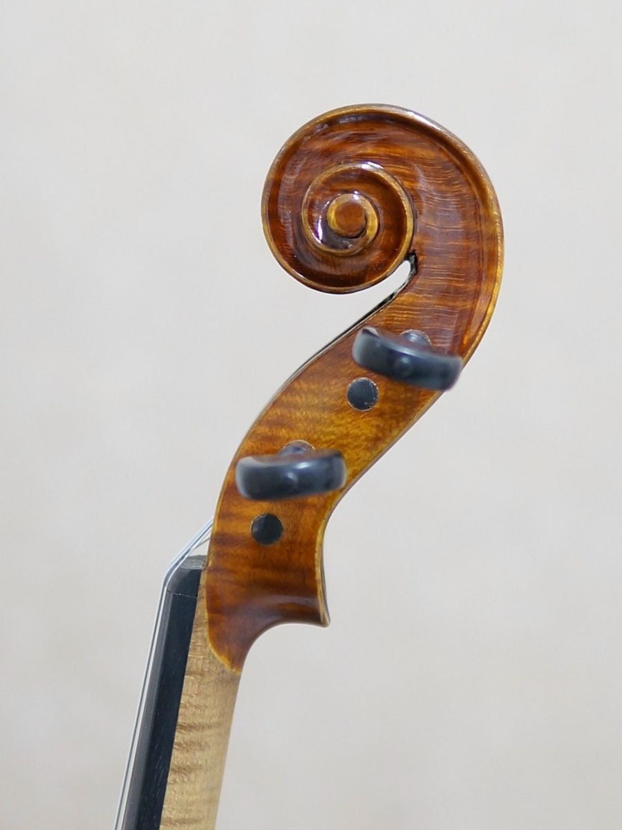 Gliga Gama I | 【クロサワ楽器店オンラインショップ】いい楽器との