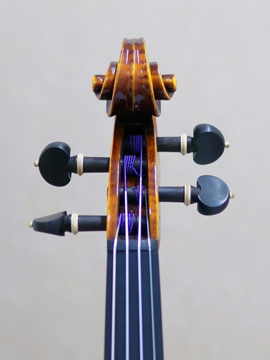 Gliga Gliga I | 【クロサワ楽器店オンラインショップ】いい楽器との