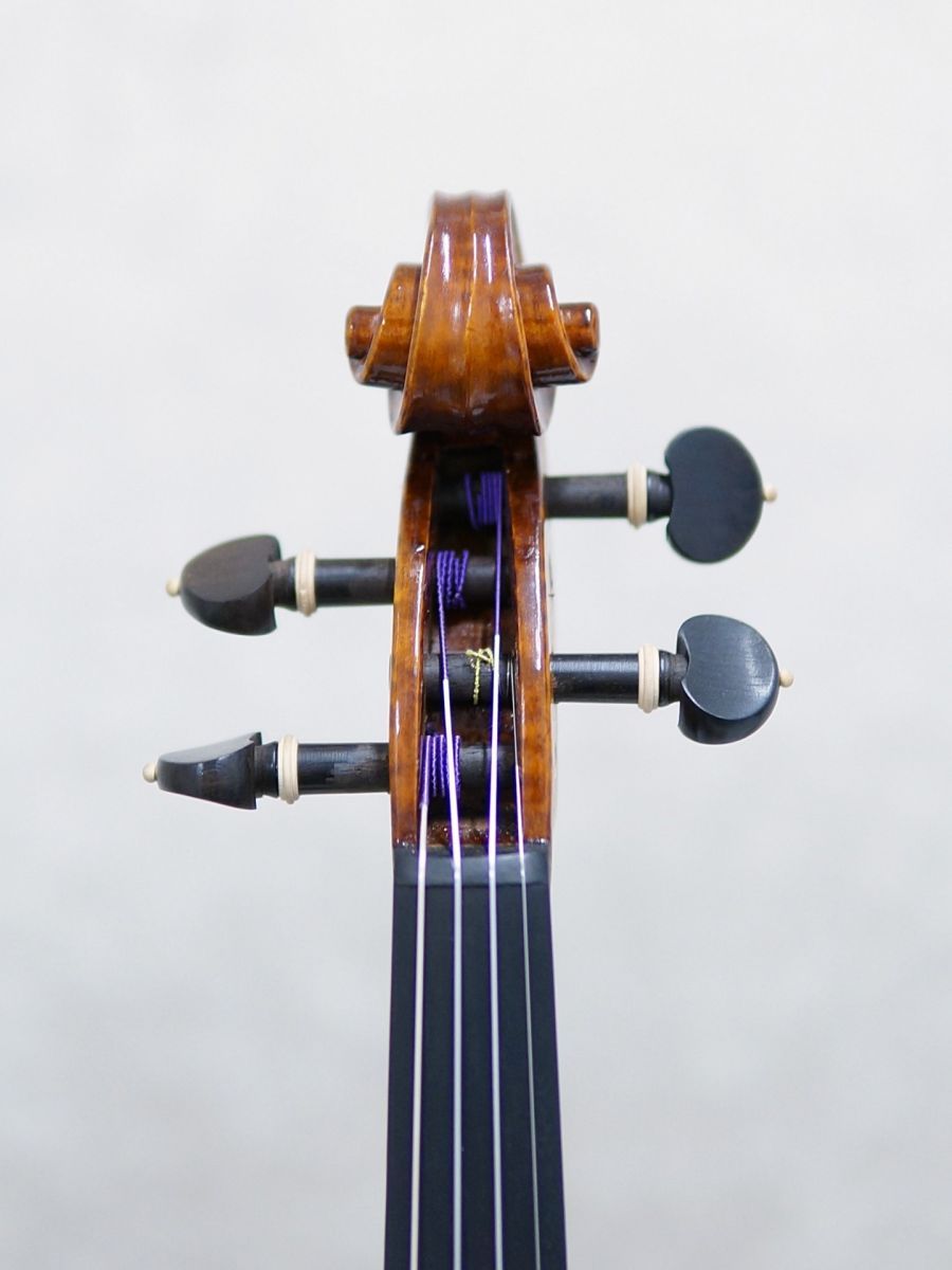 Gliga Maestro Genova | 【クロサワ楽器店オンラインショップ】いい