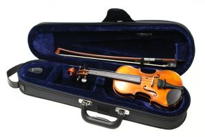 分数バイオリン、1/16の弦楽器検索結果一覧 | 【クロサワ楽器店