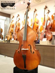 Gliga Genial I Violin Shape/Flat Back【1/2size】 | 【クロサワ楽器