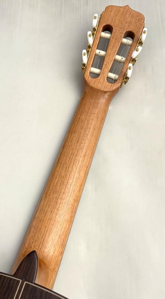 Estudio 140 Cedar | 【クロサワ楽器店オンラインショップ】いい楽器と