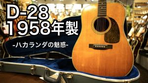 Martin、ハカランダのアコースティックギター検索結果一覧