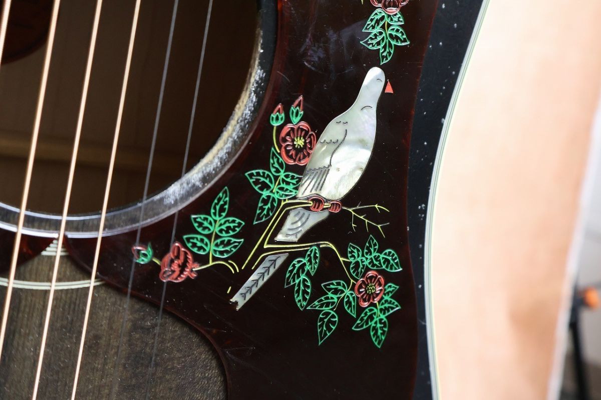 Murphy Lab Dove Double Guard Trans Ebony Light Aged #22665065