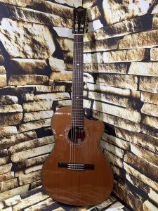 エレガット、日本総本店クラシックギター専門店のクラシックギター検索