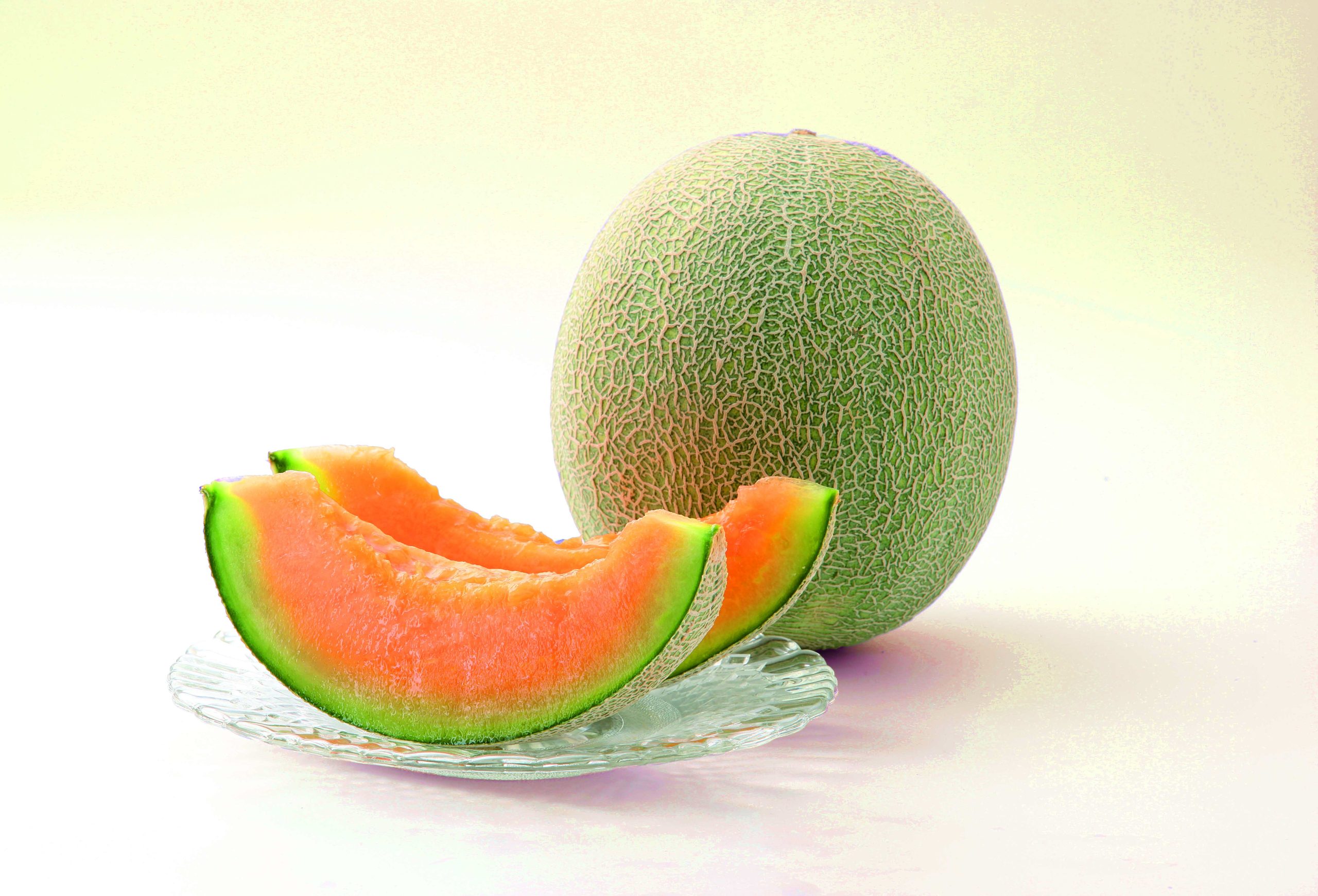 草津メロンゼリー | 滋賀・琵琶湖のお土産なら 滋賀宝株式会社