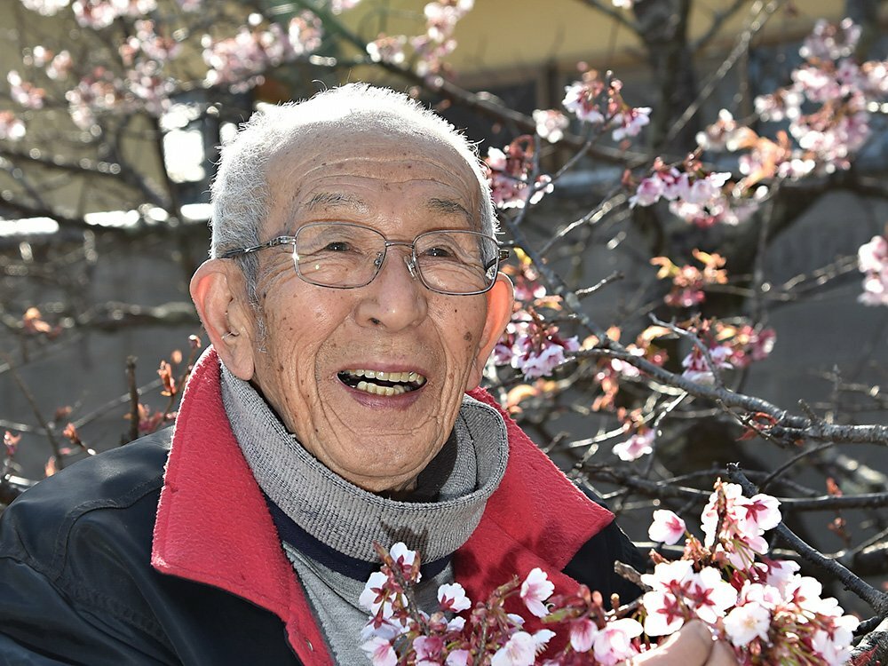 桜の世界、染織や陶芸で変身 佐野藤右衛門氏｜京都新聞デジタル 京都