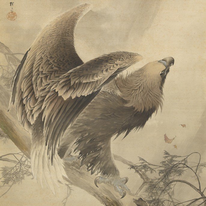 光を目指す鷲日本のエレガンス千總460年 #26｜THE KYOTO｜京都新聞