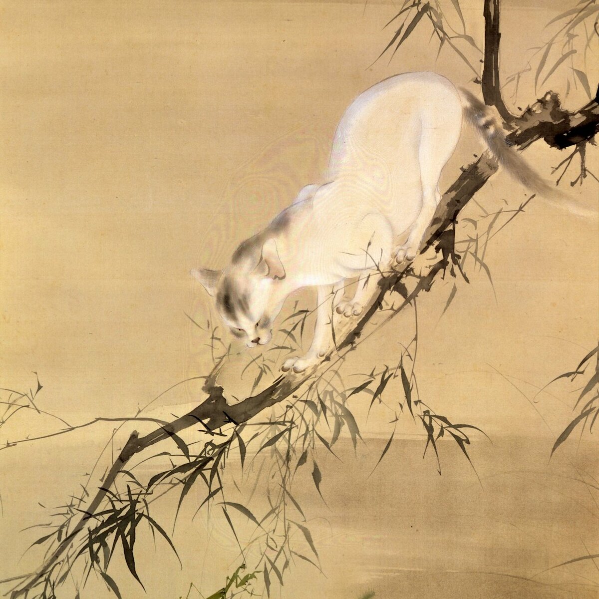 小さき虎」の猫描く日本のエレガンス千總460年 #47｜THE KYOTO｜京都新聞