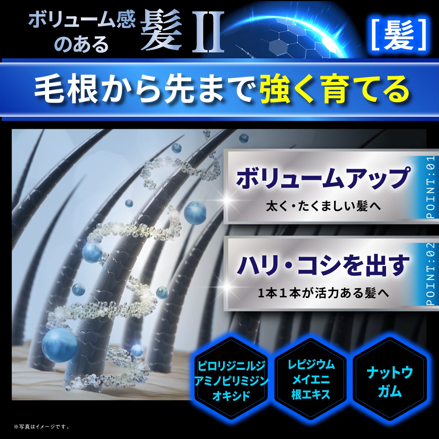 Kyogoku Professional / 【公式限定】極上ヘアケアセット