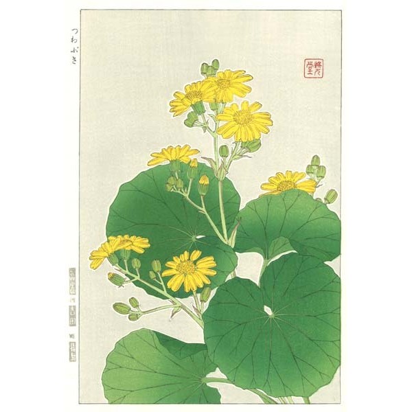 F44 ツワブキ 花版画 Flower Woodcut ーLigularia kaempferiー | 芸
