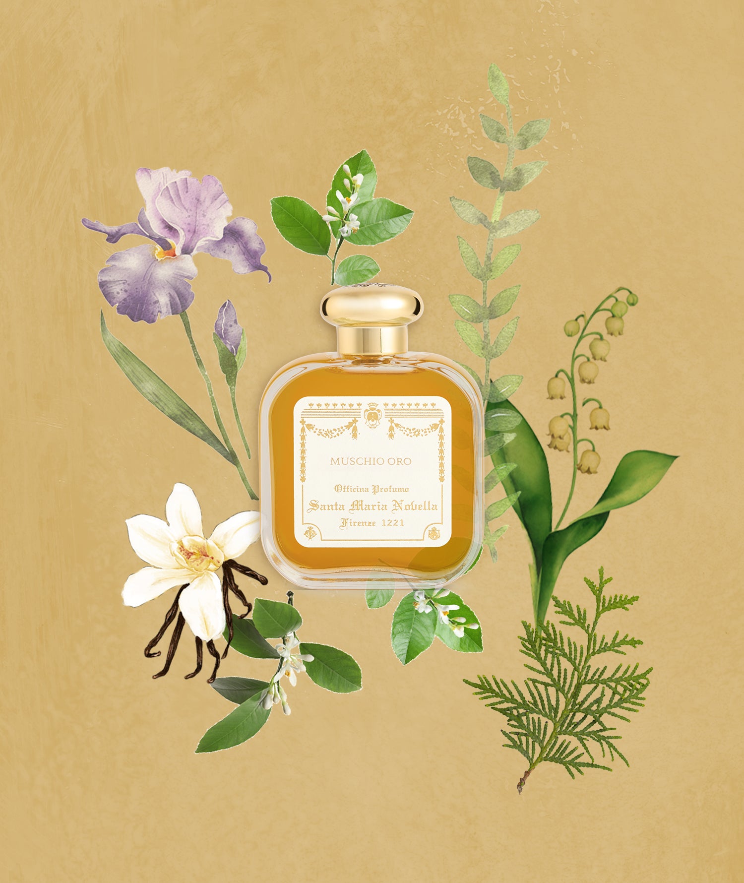 香水(ユニセックス) Santa Maria Novella MUSCHIO ORO 50ml Muschio