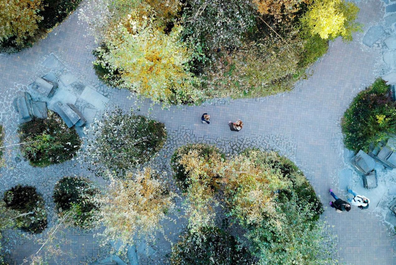 Max Family Garden at St. Ann's Warehouse by MVVA – Landscape