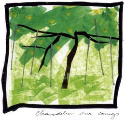 Yves Brunier – landscape theory