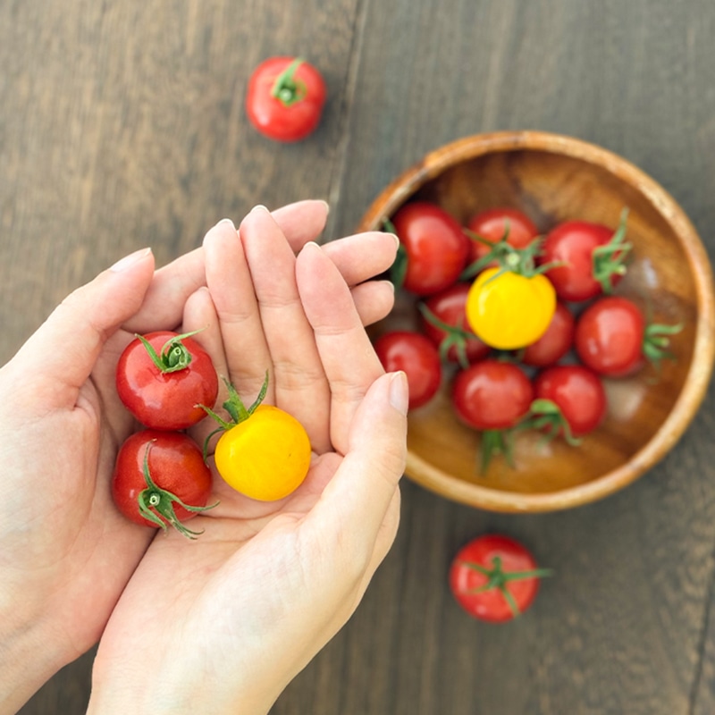 プチぷよBOX（1.2kg） | Lacycle mall（ラシクルモール）