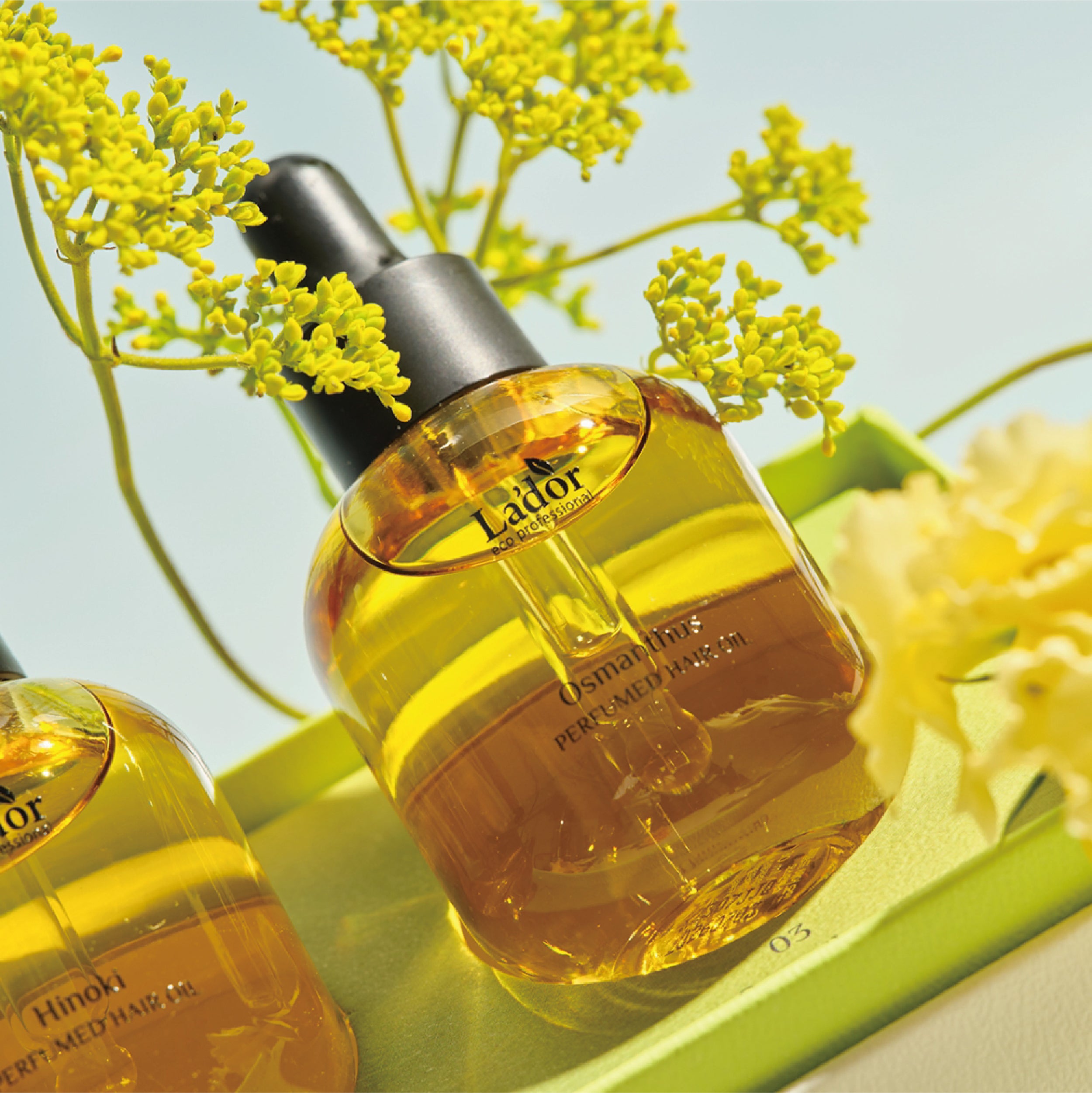 Perfumed Hairoil – LADOR