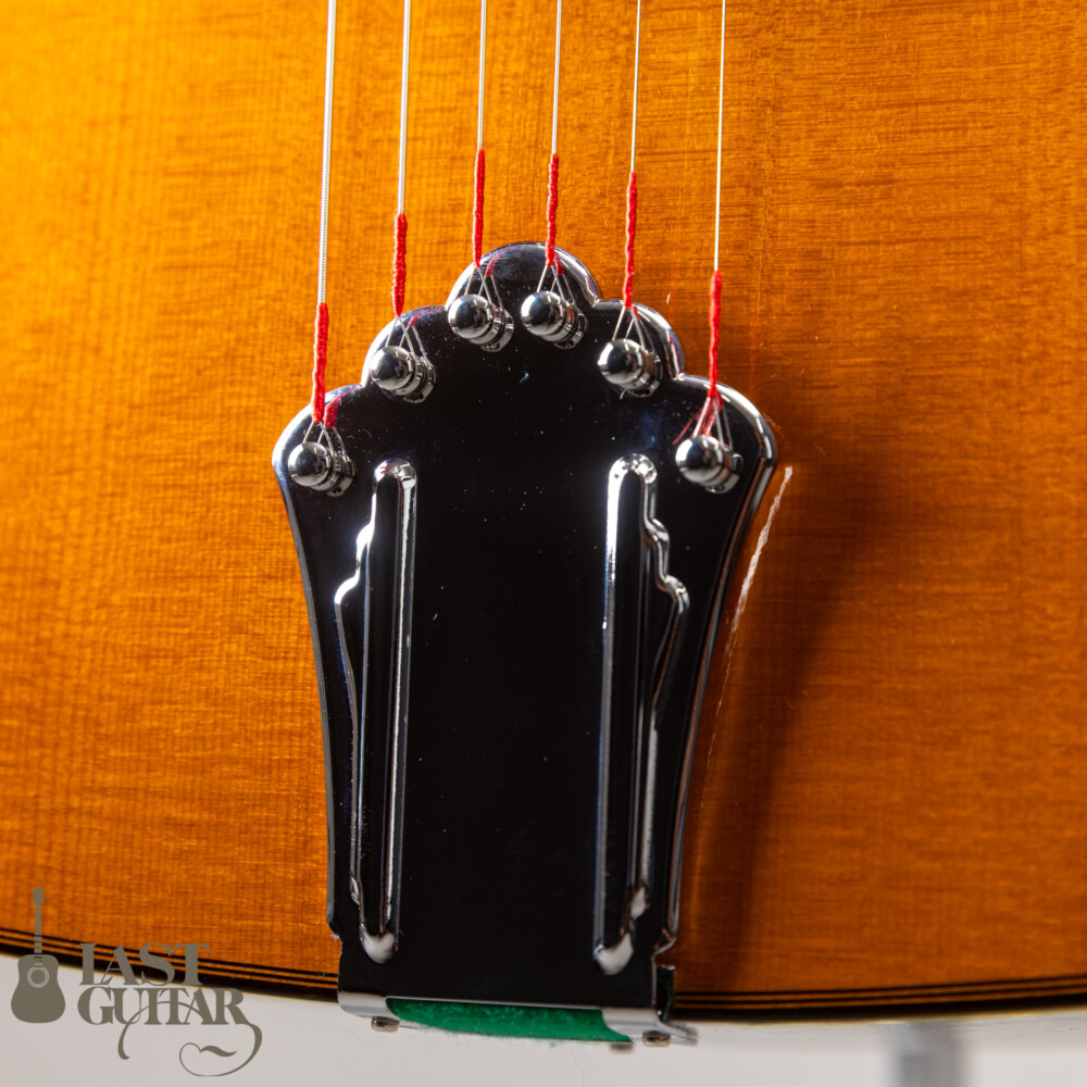 Stringphonic Advanced FV Limited | LAST GUITAR OFFICIAL WEBSITE